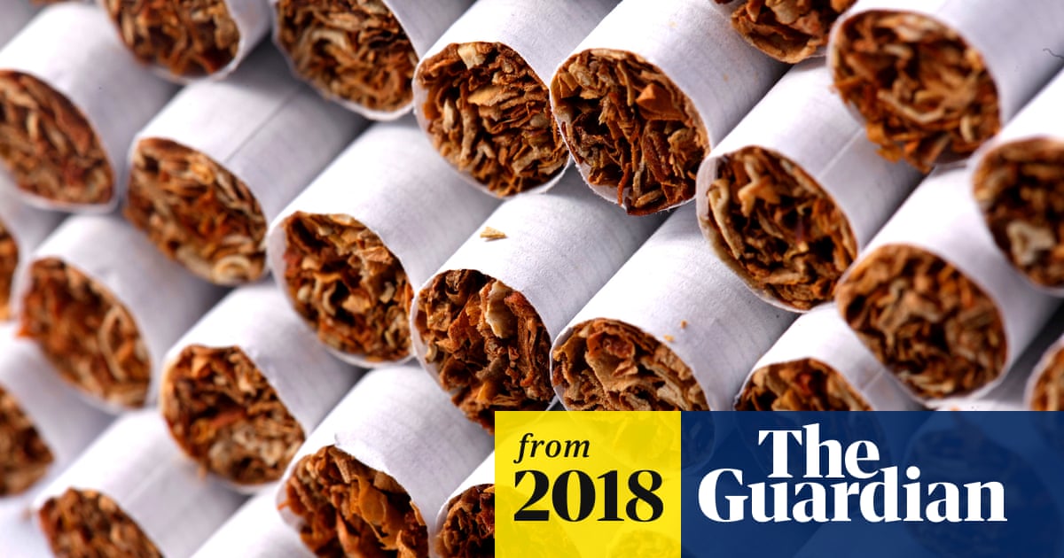 secrets of the tobacco industry How Destroys the Environment & Hides It The Tobacco Industry Is Aggressively