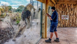 Is It Time To Shut Down The Zoos World News The Guardian