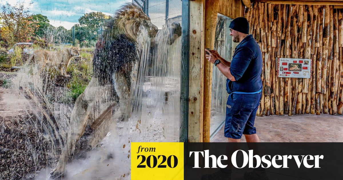 Is it time to shut down the zoos? | Zoos | The Guardian