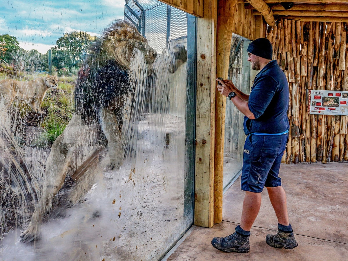 Bad Zoo Conditions bad-zoo-conditions