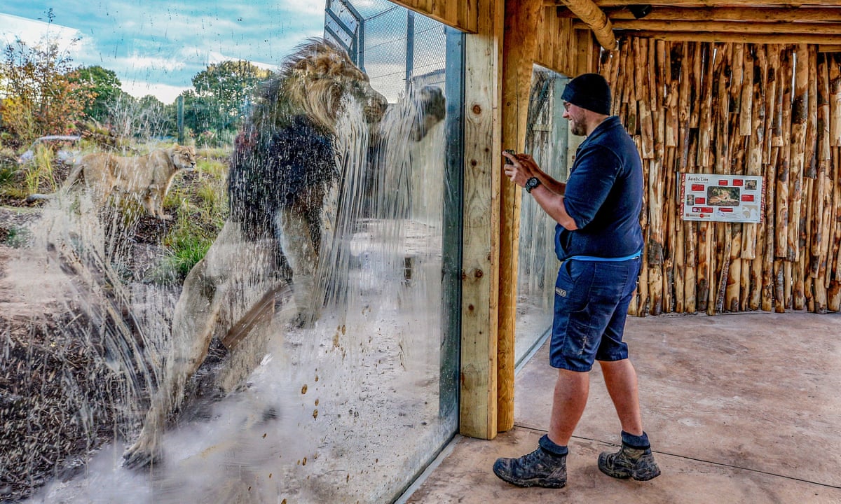 Is it time to shut down the zoos? | Zoos | The Guardian