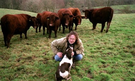 Hugh Fearnley-Whittingstall in a field with cows and a dog