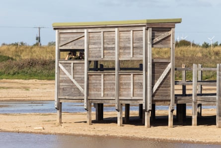 Two people looking out with binoculars from a bird watching hut