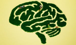 Illustration of people exercising in a maze in the shape of a brain