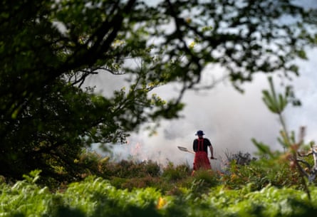 A firefighter is seen through trees beating flames.