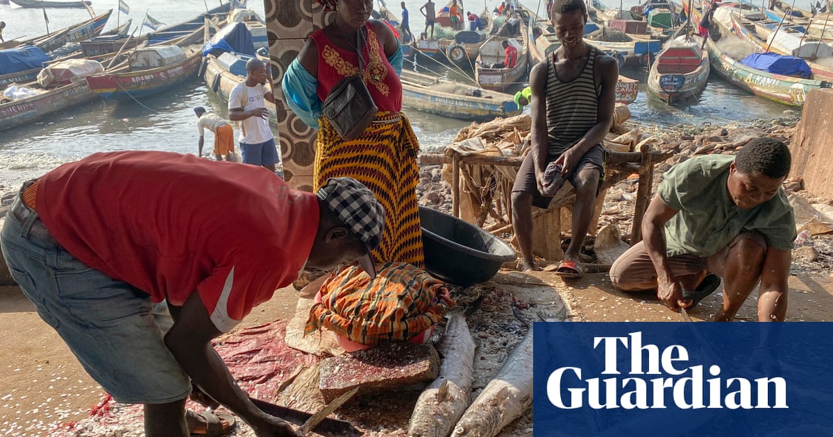 ‘Families are starving’: Chinese trawlers’ overfishing is destroying lives, say Sierra Leoneans