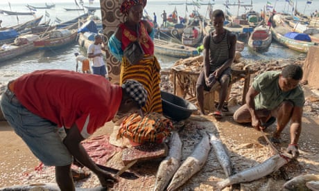 Traders at Tombo market descaling fish.