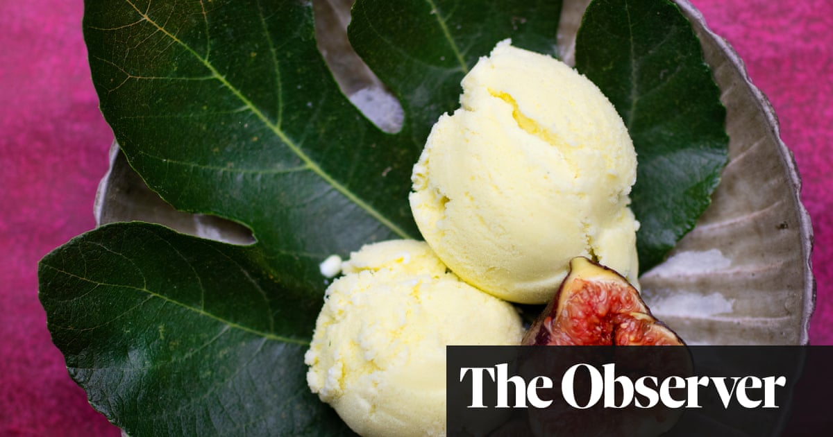 nigel-slater-s-recipes-for-fig-leaf-and-kefir-milk-ice-and-aromatic-damson-gin
