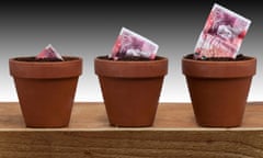 £50 pound note in an earthenware terracotta flower pot