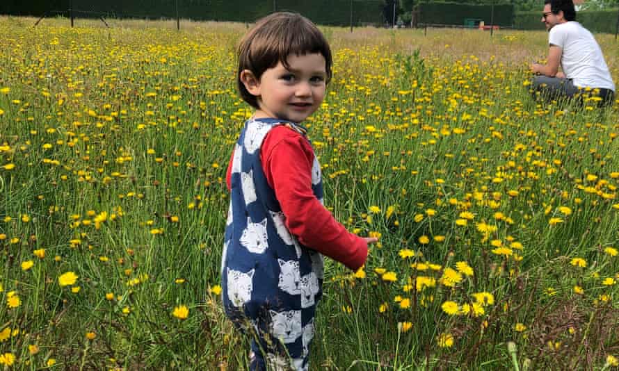 Young child walking in the wildflower meadow