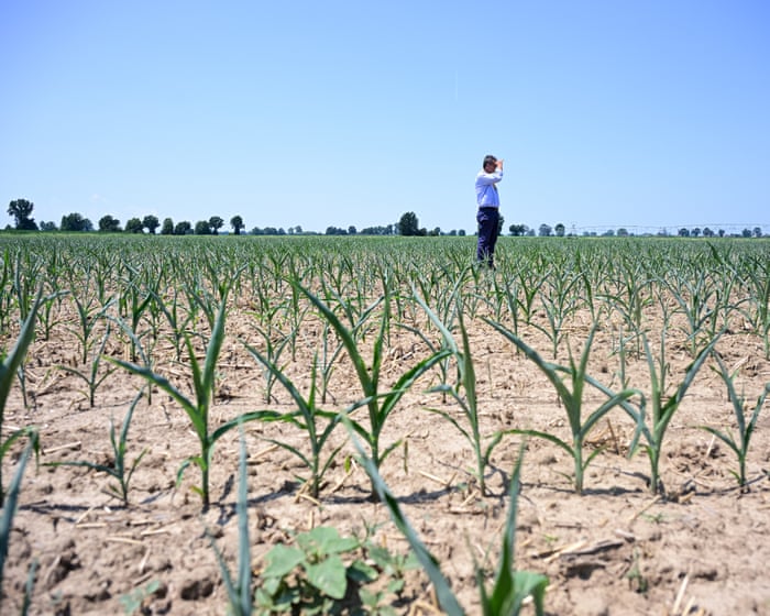 Europe heatwave shows need to reject climate denial ‘lies’, says EU green chief