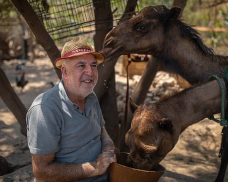 A dog saved Houssein Hamze from a bomb. When war returned, he stayed to care for Lebanon’s animals
