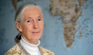 British scientist Jane Goodall: ‘ I have seen the result of climate change and we know, science has shown, that global temperatures are warming.’