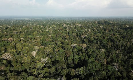 Trees such as those in the warm climate of the Amazon rainforest in Brazil live fast and die young, but the principle is true across all latitudes, according to research.