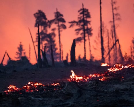 O piso da floresta está pegando fogo em uma área arborizada no Saalfelder Höhe, em Reichmannsdorf, Alemanha.