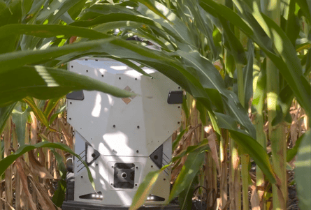 Uma máquina robótica se move pelos espaços de um campo