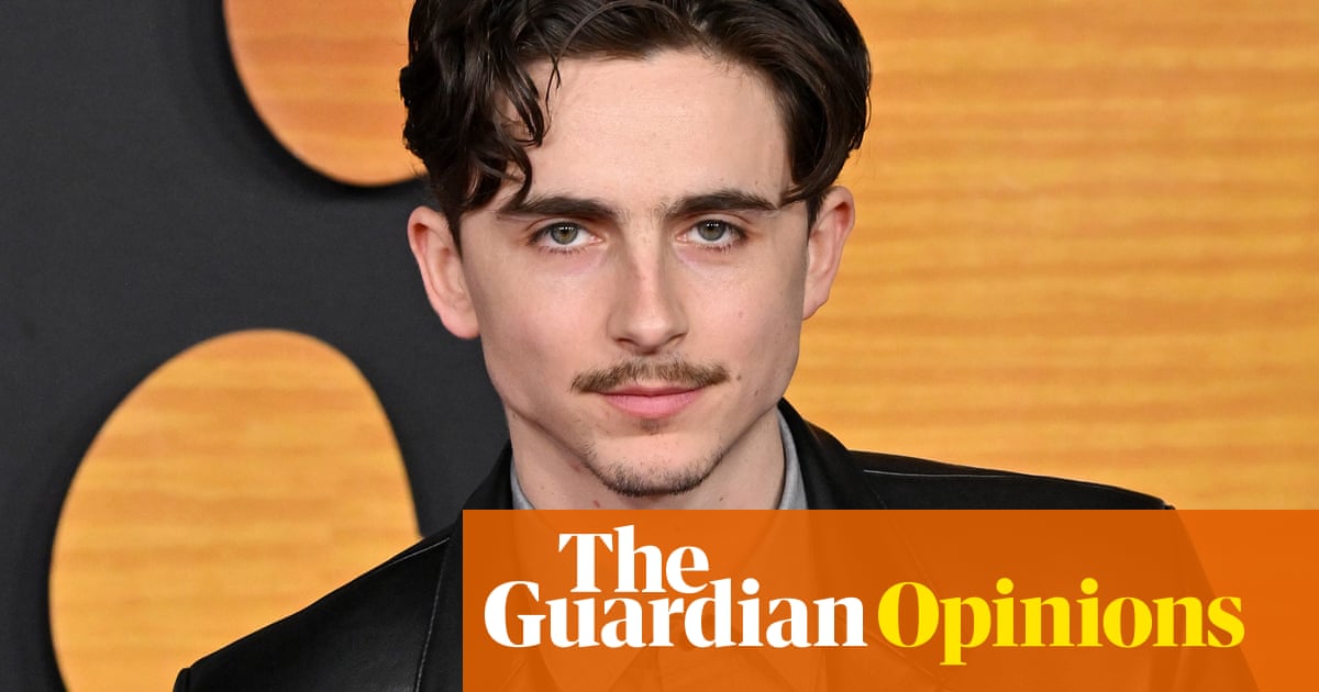 Few men can really rock a moustache. Timothee Chalamet is not one of them | Adrian Chiles
