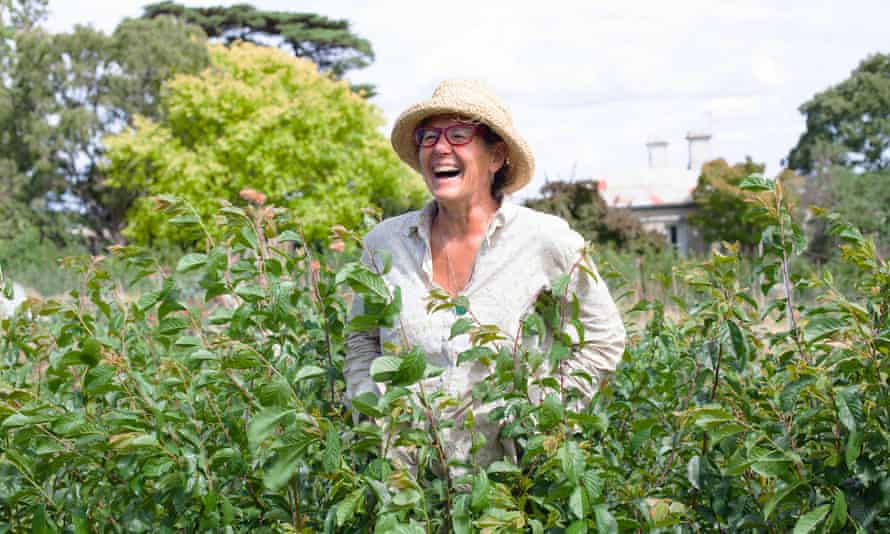 Apple grower Katie Finlay from central Victoria. Australia.