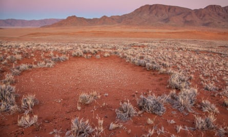 The “fairy circles” of the Namib desert, which can grown to 25 metres wide.