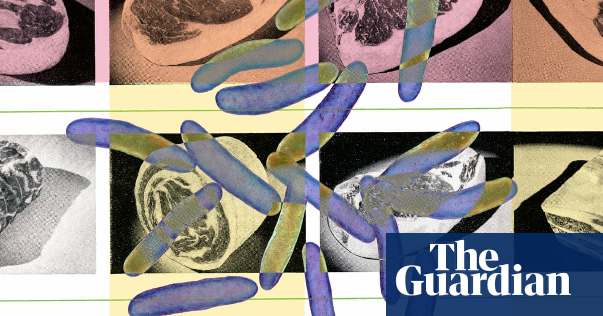 Nine ways to avoid food poisoning: microbiologists' tips for safe, healthy eating
