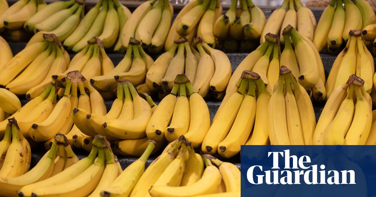 UK accused of plan to further cut cost of bananas at expense of poorest African producers