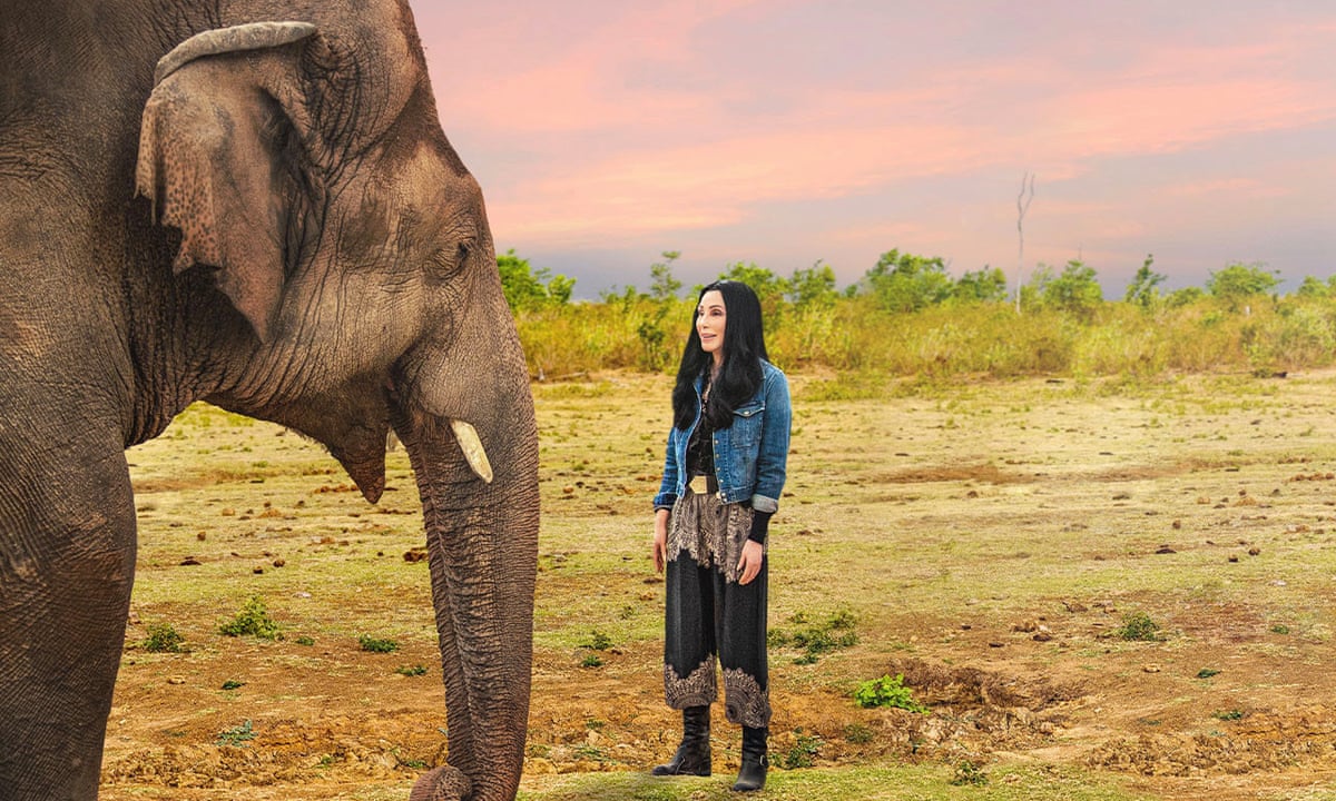 Download Can Cher Save The World S Loneliest Elephant Us Television The Guardian