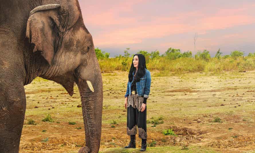 Can Cher save the world's loneliest elephant? | US television | The Guardian
