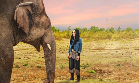 A still from Cher and the Loneliest Elephant