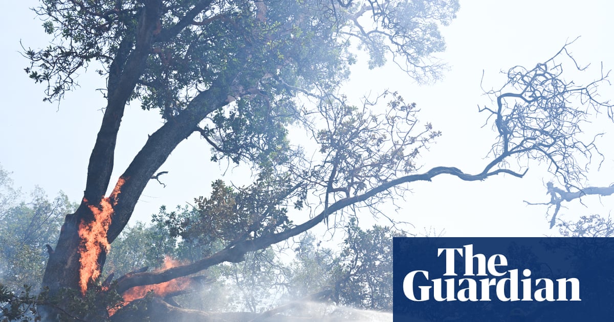 Famed tourist destinations evacuated as wildfire threatens California’s Big Sur