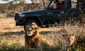 Chinese wildlife conservationist Zhuo Qiang and a local warden check lions at Ol Kinyei