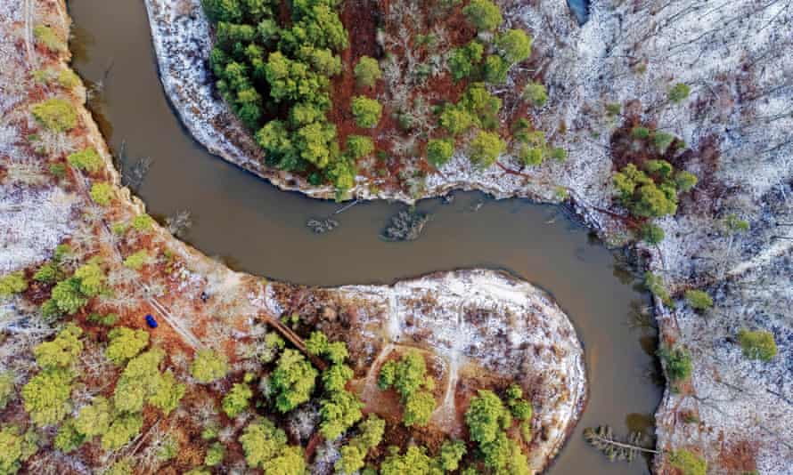 The Sluch River, a major tributary of the Pripyat River, flows through the Middle Pripyat Reserve. The region's rivers are rich in freshwater fish species, including carp species such as sea bream and roach, along with species of pike, catfish, molluscs, river perch, sticklebacks and eels.