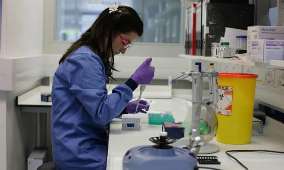 A pathologist at work in the Royal Marsden hospital’s cancer research lab in Sutton, Surrey.