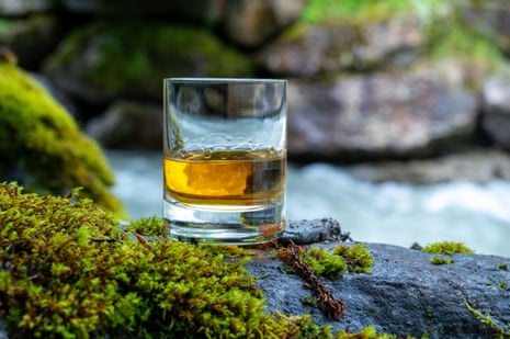 A glass of drink.