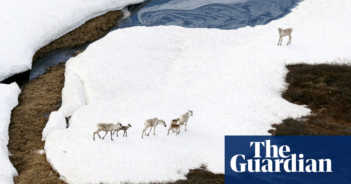 Alaska sues Biden administration over oil and gas drilling leases in Arctic refuge Alaska sues Biden administration over oil and gas drilling leases in Arctic refuge