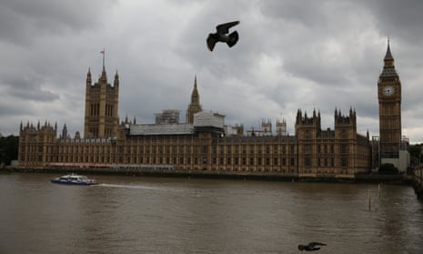 Birds fly past the Houses of Parliament
