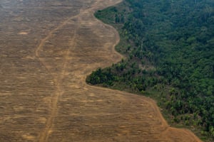 Soybean farmers have burned forestland to expand their acreage. Near Porto Velho, state of Rondônia