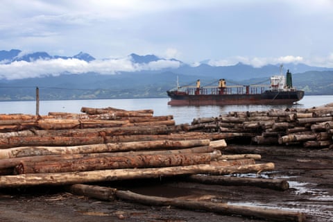 Tree trunks ready for loading at a port in Papua New Guinea. 