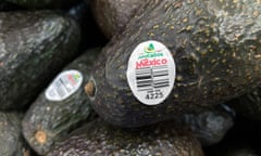 Close-up of pile of avocados, with white sticker that says "Mexico" in red type.