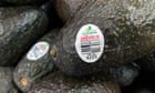 US pauses avocado and mango inspections in Mexico after attack