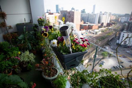 A balcony garden on the 18th floor of a block of flats in Manchester.