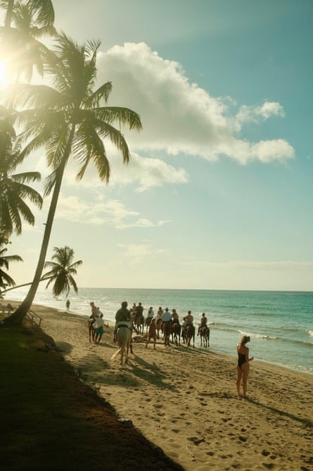 Photograph of people on horses walking along a beautiful beach with palm trees