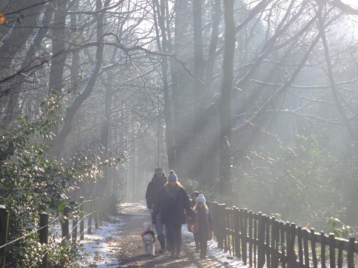 The Religious Case For Christmas Is Well Known But There S A Scientific One Too Christmas The Guardian