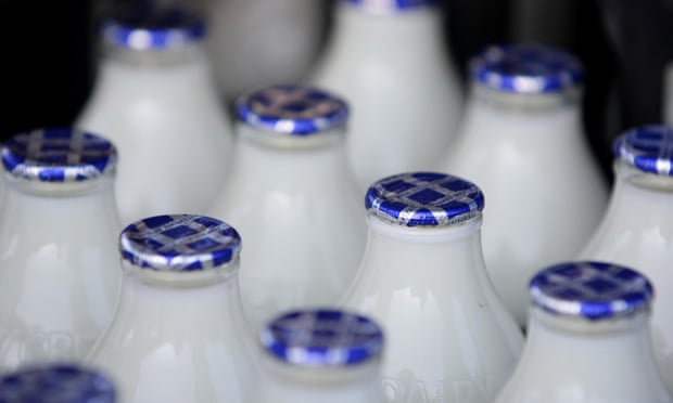 Glass bottles of milk