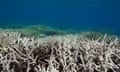 Great Barrier Reef