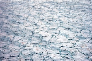 sea ice