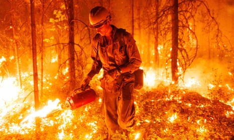 a firefighter uses a driptorch to set a controlled burn during a wildfire near vanderhoof, british columbia, canada, july 2003.