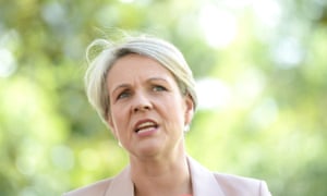 Tanya Plibersek