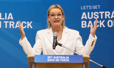 Sussan Ley makes at the weekend.