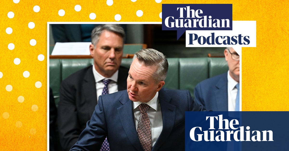 Energy minister Chris Bowen on the impact of the fuel crisis - podcast