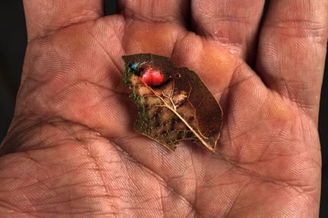 A colourful leaf with spot of red and black in the palm of a hand
